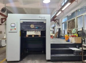 Why Choose Professional Printing Solutions for Your Packaging Needs?